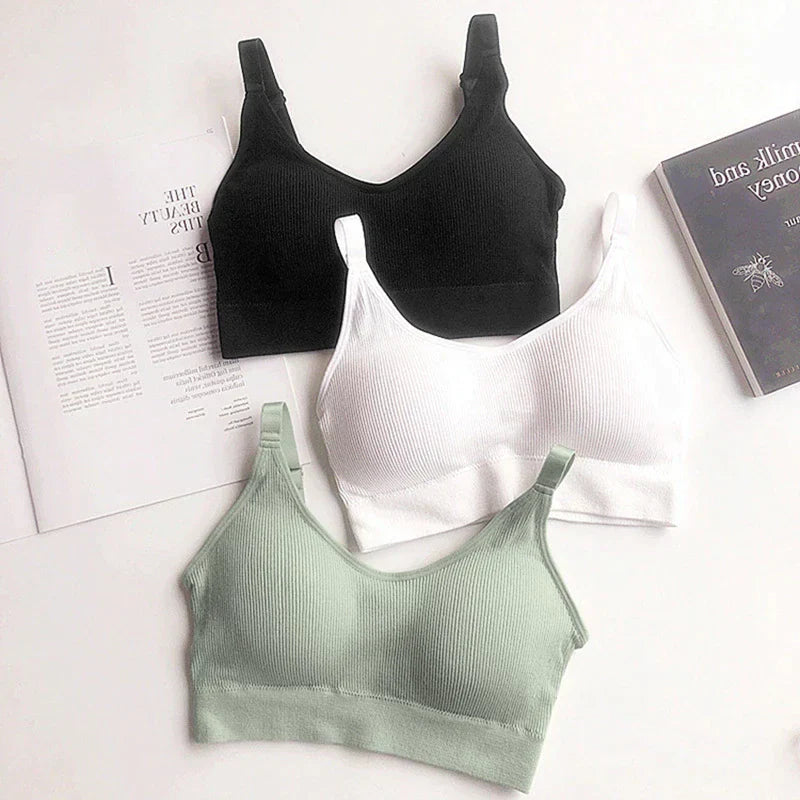Seamless Sports Bra (Pack of 3)