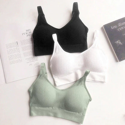 Seamless Sports Bra (Pack of 3)